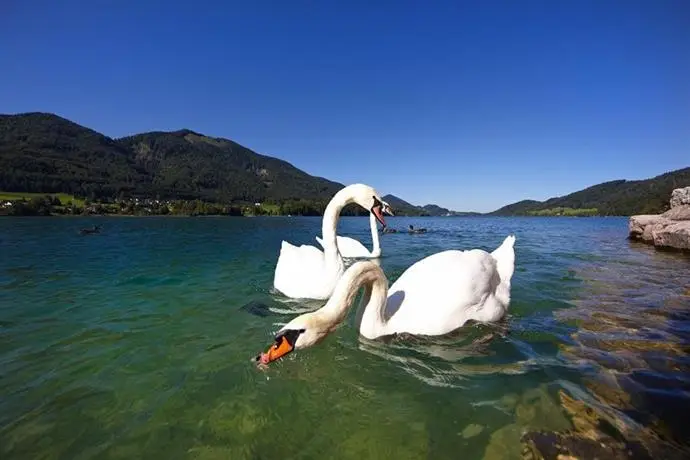 Hotel Seerose Fuschl am See 