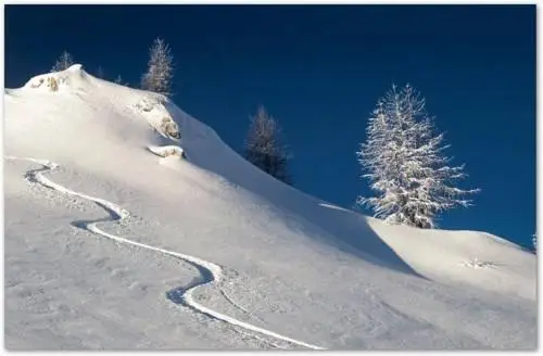 Hotel Lo Scoiattolo Gressoney-La-Trinite 