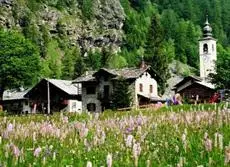 Hotel Lo Scoiattolo Gressoney-La-Trinite 