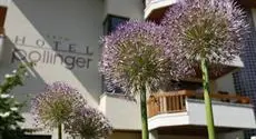 Hotel Pollinger 