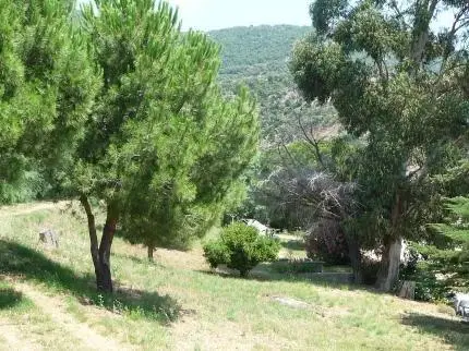 Azur Hotel Le Lavandou 