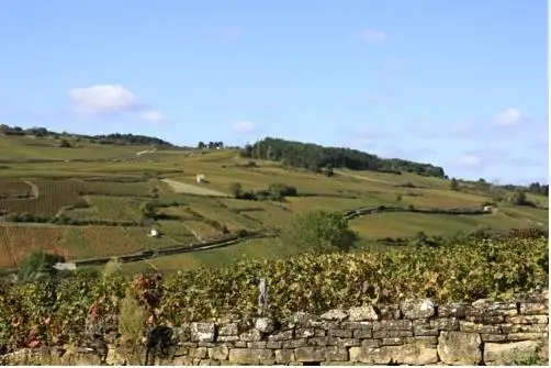 Hotel Les Hauts de Meursault 