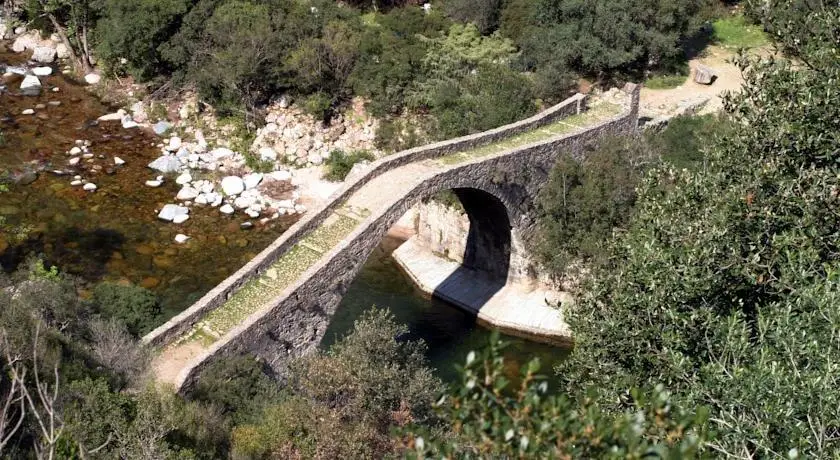 Capo D'orto Ota 