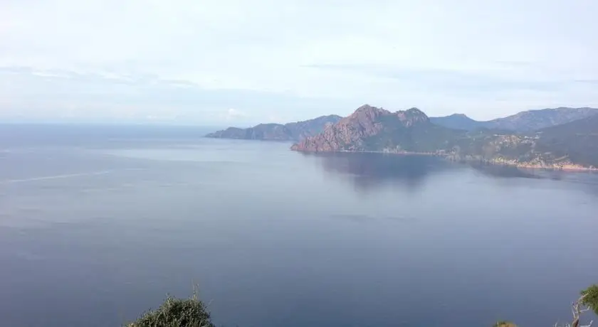 Capo D'orto Ota 