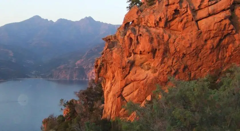 Capo D'orto Ota 