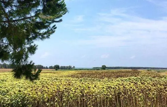 Agriturismo Podere Giulio 