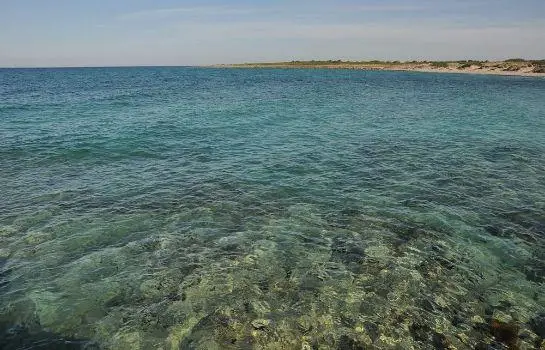 Tenuta del Barco 