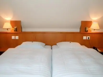 Hotel Saint Hubert - Colmar Sud 