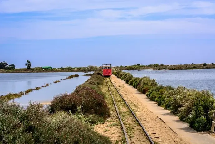 Pedras D'el Rei 