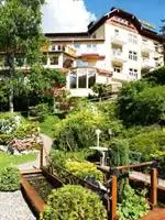 Hotel Alpenblick Bad Gastein 