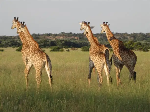 Zwahili Game Lodge 