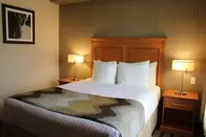 Best Western King George Inn & Suites 