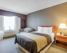 Comfort Inn Toronto Airport 