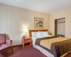 Comfort Inn Toronto Airport 