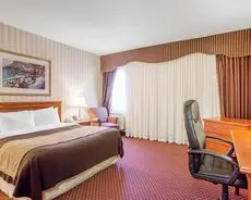 Comfort Inn Toronto Airport 