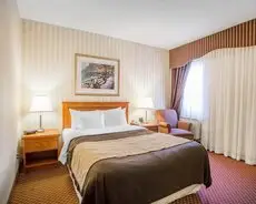 Comfort Inn Toronto Airport 