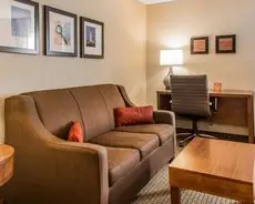 Comfort Inn Boston 