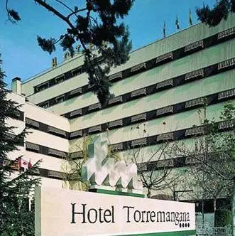 Hotel Torremangana 