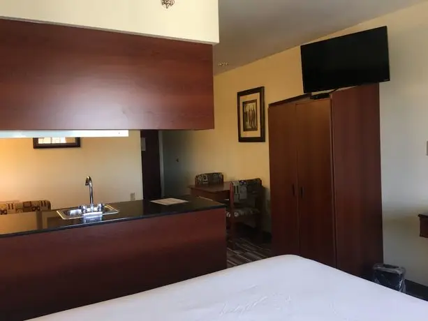 Microtel Inn & Suites by Wyndham Indianapolis Airport 