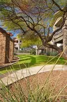 Raintree at Worldmark Phoenix South Mountain Preserve 