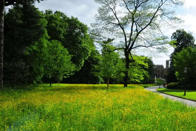 Hotel Schloss Eckberg 