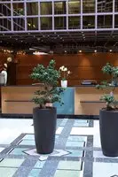 Lindner Congress Hotel Dusseldorf 