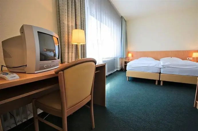 Hotel Wiking