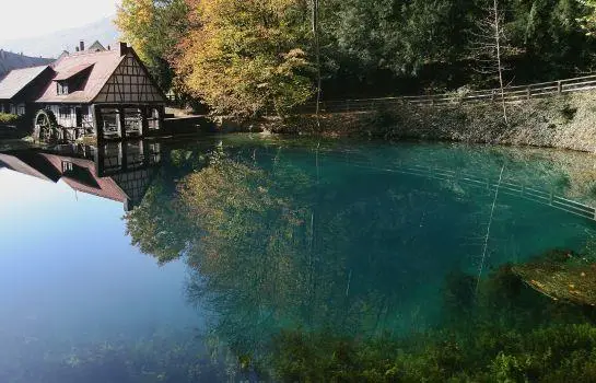 Hotel zum Ochsen Ehingen