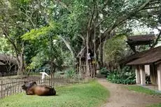 Sigiriya Village 