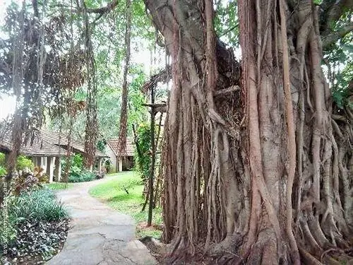 Sigiriya Village 