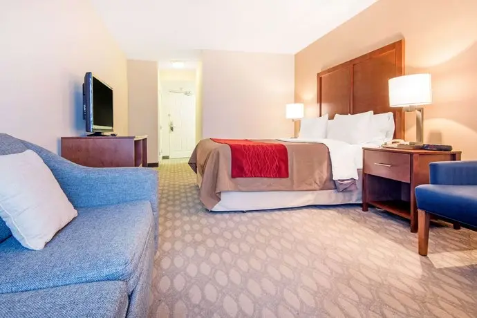 Comfort Inn Fallsview 