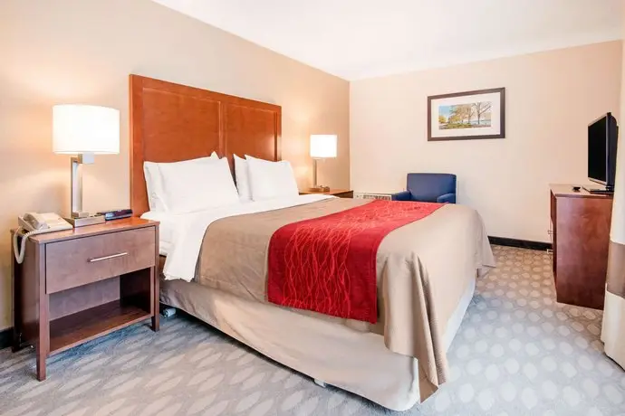 Comfort Inn Fallsview 