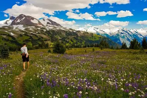 Hilton Whistler Resort & Spa 