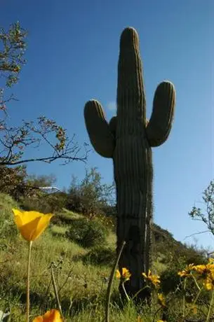 Hampton Inn Phoenix - Biltmore 