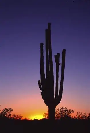 Hampton Inn Phoenix - Biltmore 