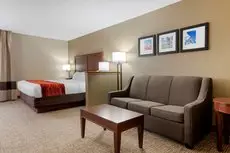 Comfort Inn and Suites Eastgate Cincinnati 