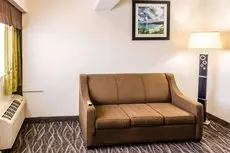 Comfort Inn Downtown Charleston 