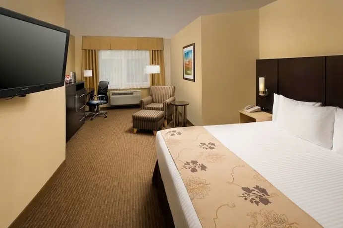 Best Western Seattle Airport Hotel 