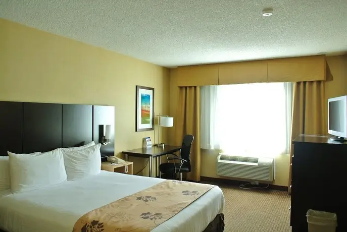 Best Western Seattle Airport Hotel 