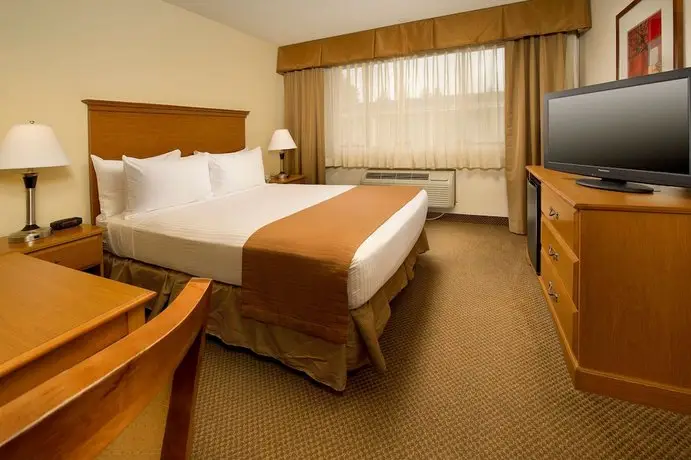 Best Western Seattle Airport Hotel 