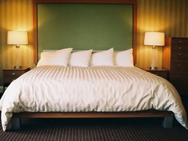 Executive Hotel Vancouver Airport 