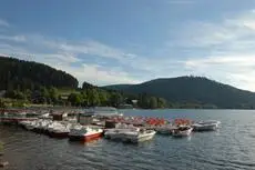 Hotel De La Paix Gerardmer 