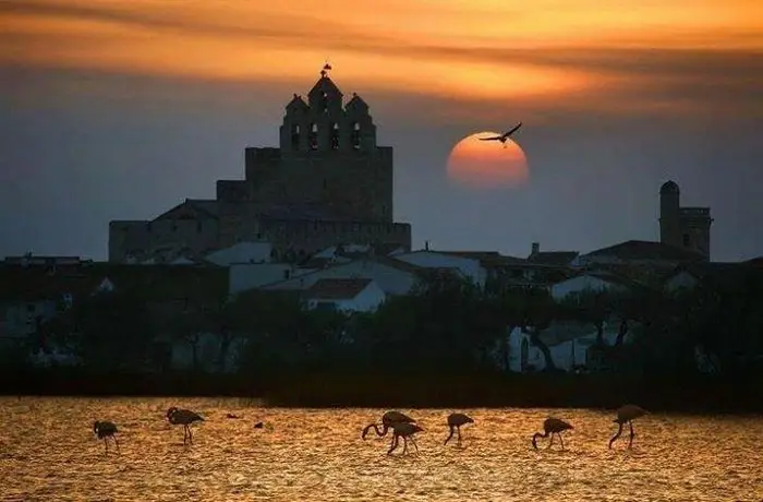 Residence Palma Saintes-Maries-de-la-Mer 