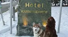 Hotel Karntnerhof & SeeBlick Appartements 