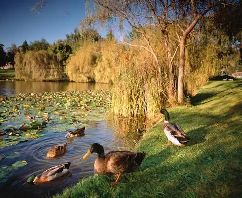 Country Club Tasmania 