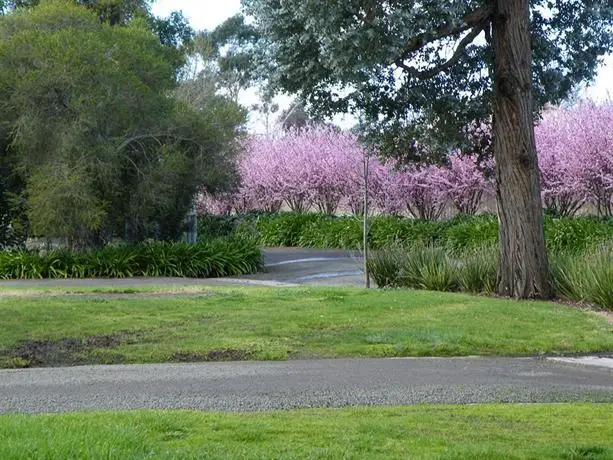 Lake Hamilton Motor Village and Caravan Park