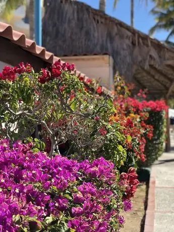 Hotel Marina La Paz 