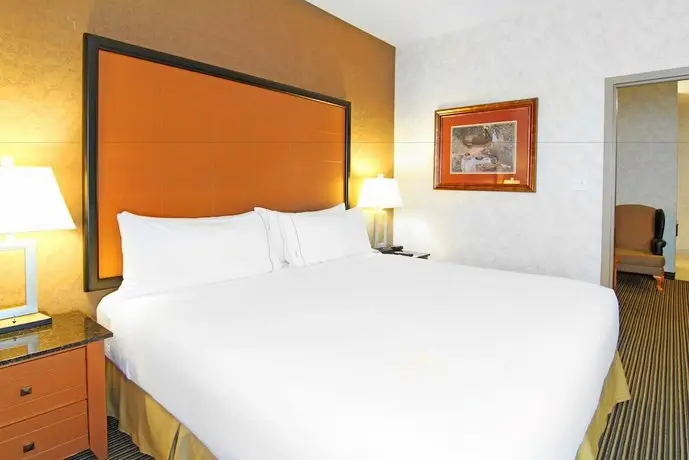 Holiday Inn Express Calgary South 