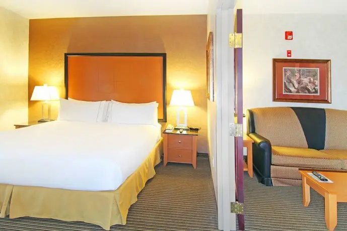 Holiday Inn Express Calgary South 