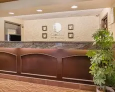 Comfort Inn and Suites University 